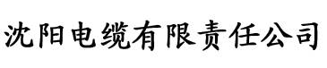 黄瓜视频App网站电缆厂logo